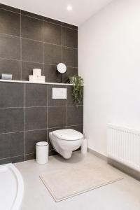 a bathroom with a toilet and a sink at MeinZuhause Apartment EG in Bad Pyrmont