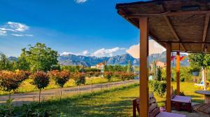 a view from a porch of a vineyard with mountains in the background at Ballkan in Shkodër