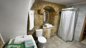 a stone bathroom with a shower and a toilet at Al qasr in Mashabbe Sade +44 photos