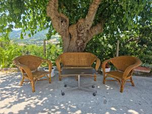three wicker chairs and a table in front of a tree at Casa Vacanze Merion in Piticchio