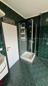 a green tiled bathroom with a shower and a toilet at Apartment Kristian in Selnica ob Dravi +4 photos