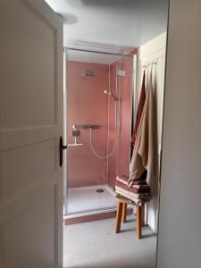 a bathroom with a shower with a glass door at Alte Fischerhütte Darss in Wieck +32 photos