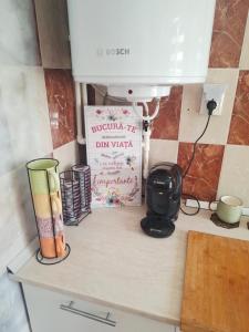 a kitchen counter with a sink and a box on it at Casa La Bunicu - Curte privata & liniste in Techirghiol +82 photos