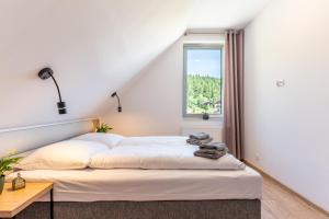 a bedroom with a white bed with a window at Apartamenty Zieleniec in Duszniki Zdrój