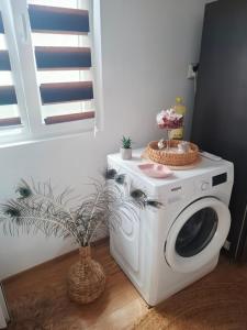 a washing machine with a cake on top of it at Casa La Bunicu - Curte privata & liniste in Techirghiol