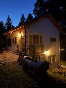 a house with a boat in front of it at night at Bergchalet Zirbenzapfen in Judenburg