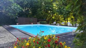 a swimming pool with a wooden deck and flowers at Le Cozy in Saint-Jean-Poutge