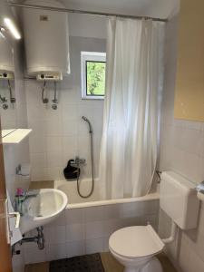 a bathroom with a shower and a toilet and a sink at Apartman Emilija in Vinišće +47 photos