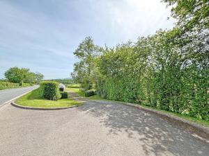 an empty road with trees and a hedge at Beacons Cottage-Uk36406 in Bronllys +5 photos