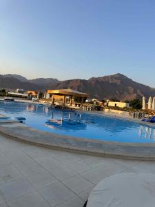 a large swimming pool with chairs and umbrellas at Sondos Camp in Nuweiba‘ el Muzeinah