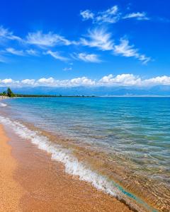 a beach with the ocean and a blue sky at Алтын Мезгил in Korumdy