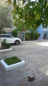 a car parked in a parking lot with a crab on the ground at Vila Ali Demi in Tirana
