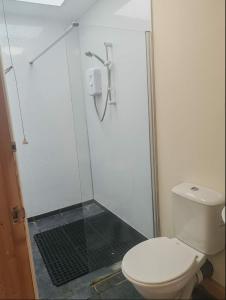 a bathroom with a toilet and a glass shower at Broomfields Glamping Pods in Whitby +7 photos
