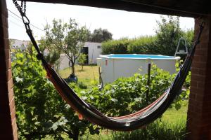 a hammock hanging in a garden next to a bush at C M Casa de Mares Alojamento Local in Casas Novas de Marés