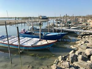 a group of boats are docked in the water at La Zia Acida Apartment in Ca Tiepolo