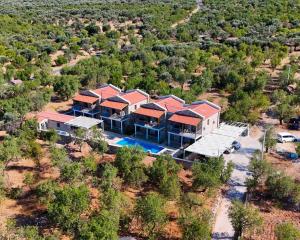 an aerial view of a large house with a pool at Petra Evleri in Örencik