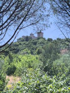 a house on top of a hill with trees at L'armadio di Narni -A in Narni
