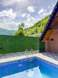 a swimming pool with a purple frisbee in it at Lerik Forest House in Lerik