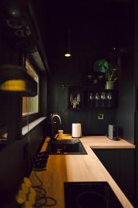 a kitchen with a sink and a counter top at Nordik Crest in Mărişel +26 photos