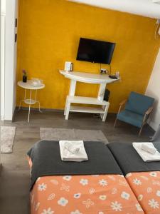 a room with a bed and a desk with a television at SUNNY HOUSE APARTMENTS WITH an OUTDOOR POOL AND FREE PARKING in Skopje