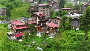 a group of houses with red roofs on a hill at Ayder Palas Apart Hotel in Ayder Yaylasi