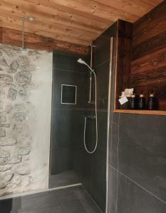 a shower in a bathroom with a stone wall at Chalet Cannelle in Châtel +45 photos
