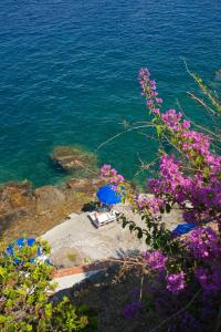 a view of the ocean with purple flowers at Hotel Carasco in Lipari