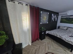 a bedroom with a bed and a window at Casa Rico 2 in Tulcea