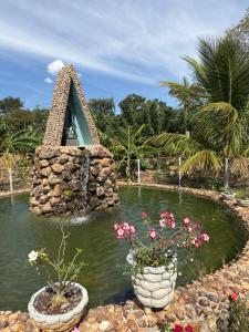 a pond in a garden with two potted flowers at Pousada Recanto dos Buritis in Manhã