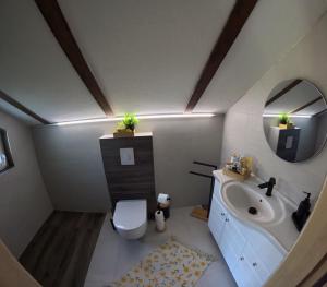a bathroom with a sink and a toilet and a mirror at Una Bliss in Kulen Vakuf +33 photos