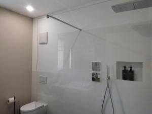 a bathroom with a toilet and a glass shower stall at Gardena Living in Ponte Gardena +5 photos