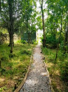 a path in the middle of a field with trees at Rowan retreat,Renwick, Penrith,CA10 1LA in Penrith