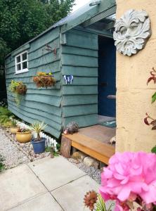 a blue shed with a bench in a garden at Rowan retreat,Renwick, Penrith,CA10 1LA in Penrith