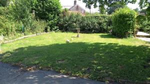a yard with a shadow of a tree on the grass at The Post Office, 6 beds, Bar, Library, Pool Table, Stream, Large Garden in Piddletrenthide