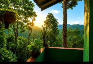 a balcony with potted plants and a view of a forest at Hushwood ELLA in Ella