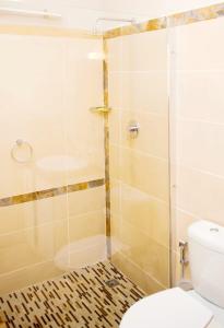 a bathroom with a shower and a toilet at Home Very Close To CBD in Gaborone +30 photos