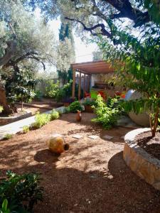a yard with a garden with a house at Dhimitri Rooms in Gjilek