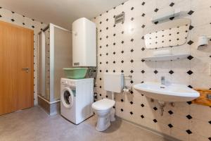 a bathroom with a toilet sink and a washing machine at Ferienhaus Pichl in Bruck an der Großglocknerstraße +24 photos