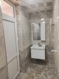 a bathroom with a sink and a shower and a mirror at Bright Modern Suite in Quba