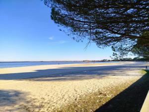 a view of a beach with a tree on it at Logement à deux pas du lac Carcans Maubuisson in Carcans
