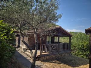 a cabin with a porch and a tree at Chalet a louer avec piscine in Solliès-Toucas