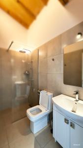 a bathroom with a toilet and a sink at Amper Villa Dilijan in Dilijan +35 photos