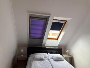 a bedroom with a bed with a purple window at Noemi Apartman in Hajdúszoboszló