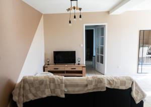 a living room with a bed and a tv at La Maison Du Vigneron in Gaillac