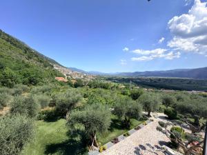 a view of a valley with trees and bushes at B&B Sant'Angelo Sala Consilina in Sala Consilina