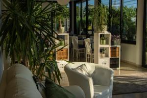 a living room with a white chair and plants at Hotel Maioli B&B in Misano Adriatico