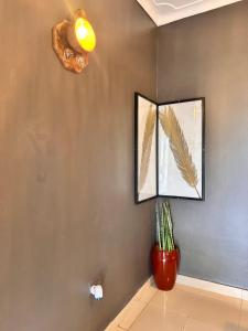 a wall with two mirrors and a plant in a vase at Ekinot homes in Lira +28 photos