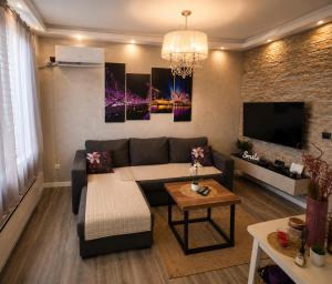 a living room with a couch and a tv at New Moment in Žarkovo