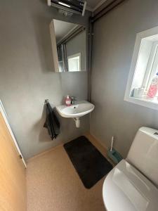 a bathroom with a sink and a toilet and a mirror at Turifoss Camping Cabin 2 in Svedjan