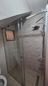 a bathroom with a shower and a toilet at Hidden Haven Cottage Sarajevo in Lokve